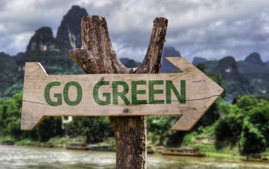 GoGreenwoodensignwithaforestbackground